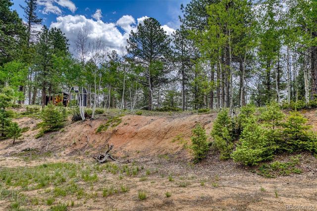 2927 Pathfinder Road, Florissant, CO 80816