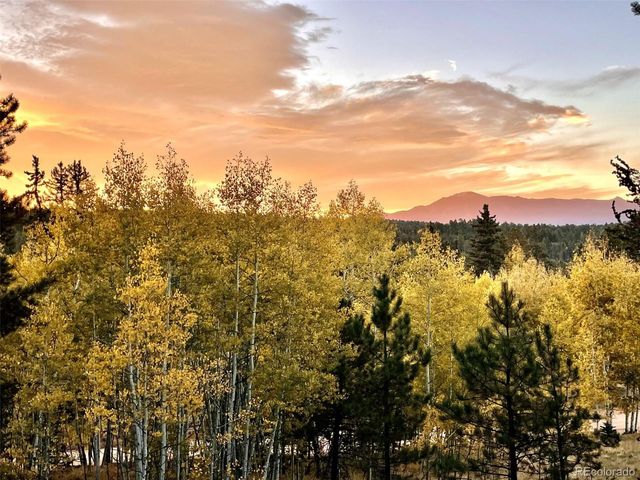 2927 Pathfinder Road, Florissant, CO 80816