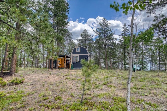 2927 Pathfinder Road, Florissant, CO 80816