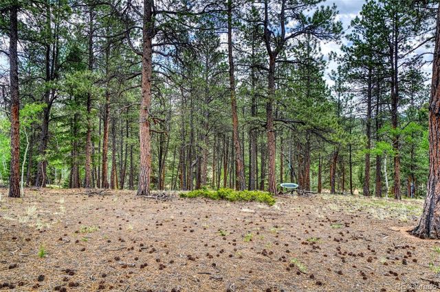 2927 Pathfinder Road, Florissant, CO 80816