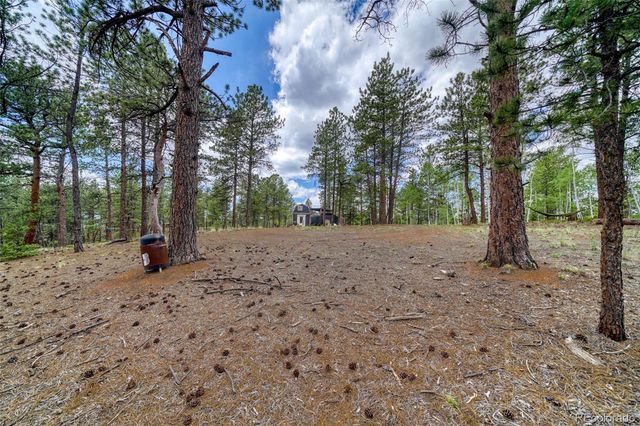 2927 Pathfinder Road, Florissant, CO 80816