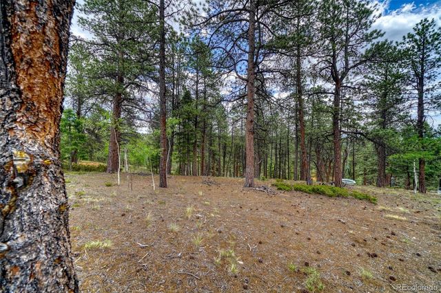 2927 Pathfinder Road, Florissant, CO 80816