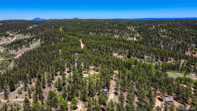 2927 Pathfinder Road, Florissant, CO 80816