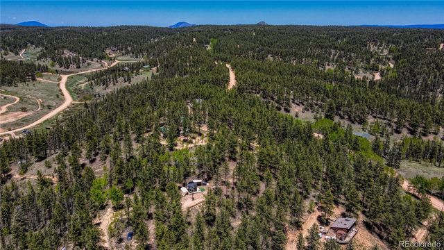 2927 Pathfinder Road, Florissant, CO 80816
