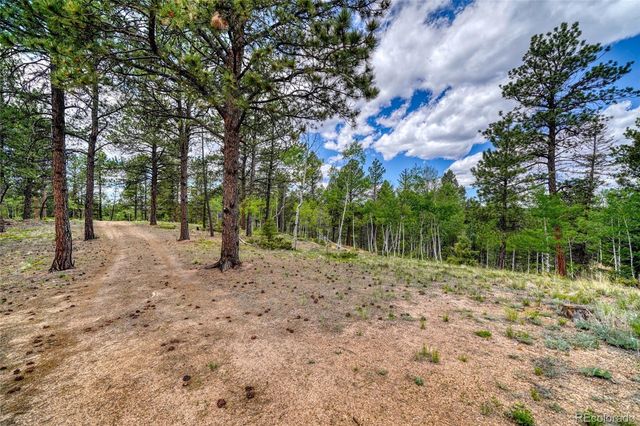2927 Pathfinder Road, Florissant, CO 80816