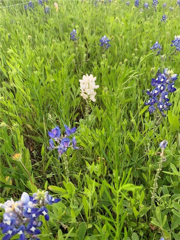 628 Wildflower, Mcgregor, TX 76657