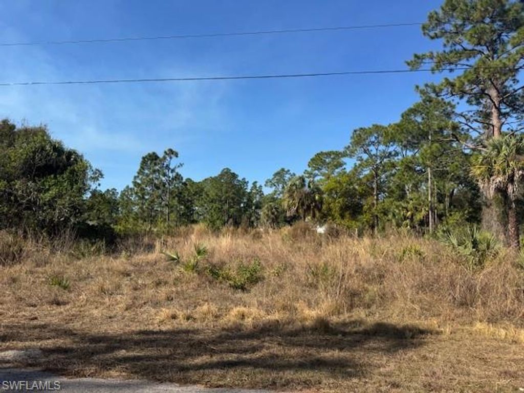 2117 Moore AVE, ALVA, FL 33920 — exterior