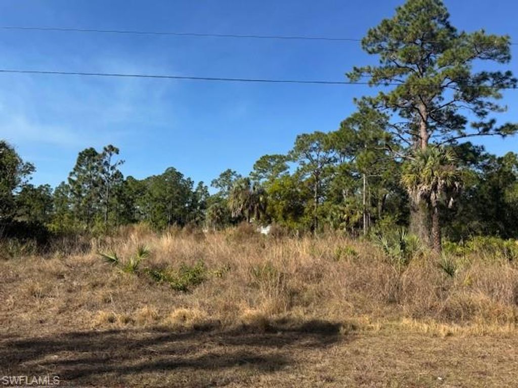 2117 Moore AVE, ALVA, FL 33920 — photo 2