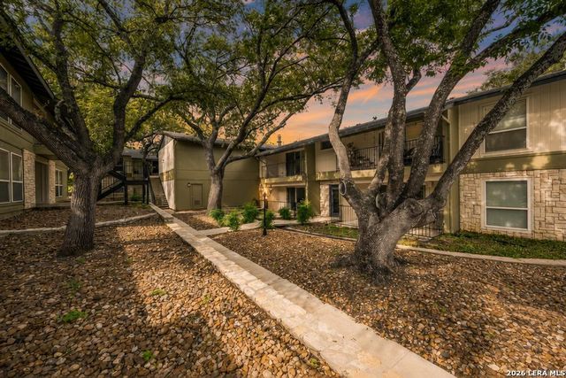100 Lorenz Rd Apt 503, San Antonio, TX 78209