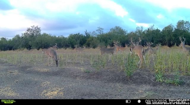 1121 County Road 481, Alice, TX 78332