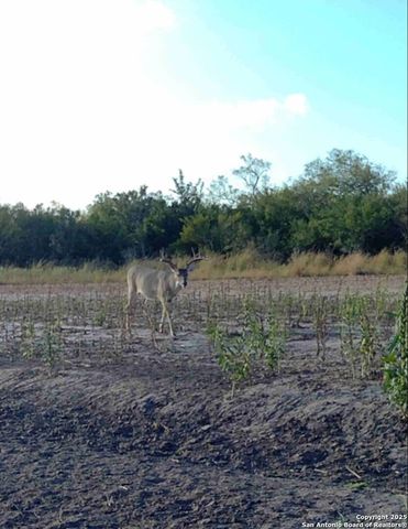 1121 County Road 481, Alice, TX 78332
