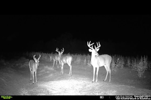 1121 County Road 481, Alice, TX 78332