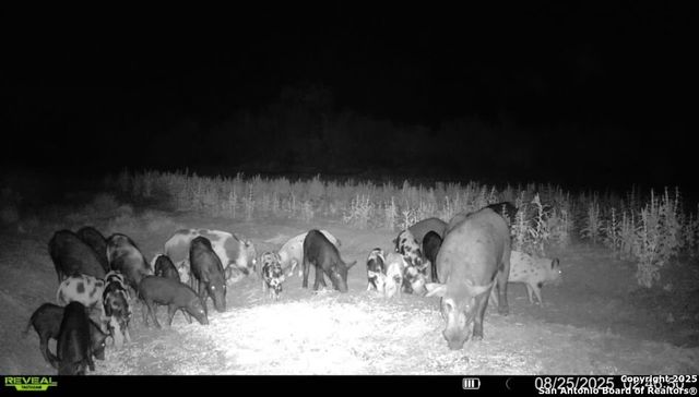 1121 County Road 481, Alice, TX 78332