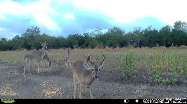 1121 County Road 481, Alice, TX 78332