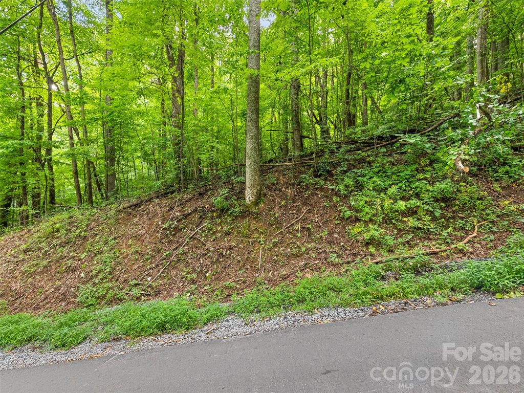 00 Dogwood Trail 21&22, Waynesville, NC 28786