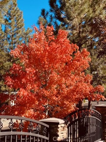 5319 Desert View, Wrightwood, CA 92397