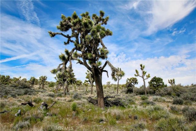 27 Vista, Pioneertown, CA 92356