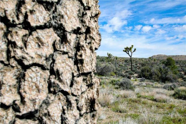 27 Vista, Pioneertown, CA 92356