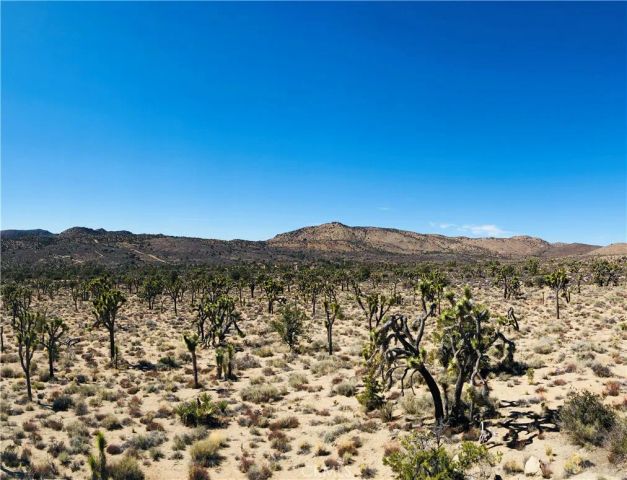 27 Vista, Pioneertown, CA 92356