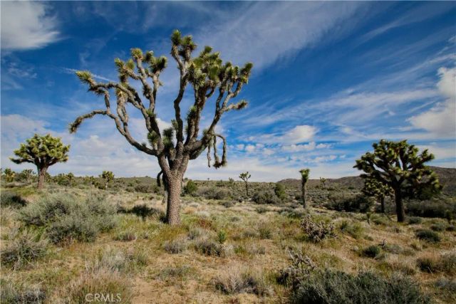 27 Vista, Pioneertown, CA 92356