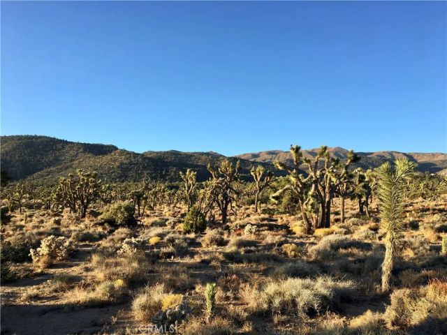 27 Vista, Pioneertown, CA 92356