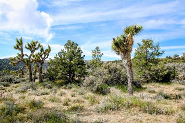 27 Vista, Pioneertown, CA 92356