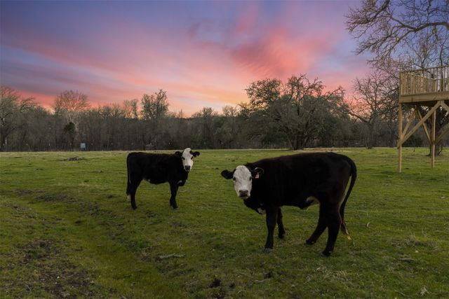 1435 County Road 3550, Valley Mills, TX 76689