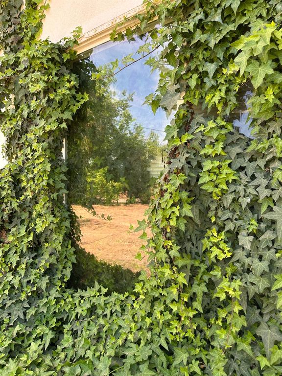 Image 32 of property listing at 19637 E American Avenue, Reedley, CA 93654