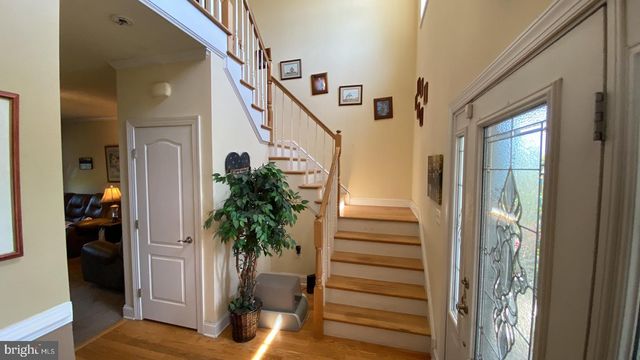 18050 ELLYN CT, Dameron, MD 20628