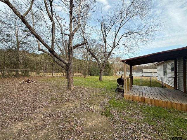 7398 Valley View Lane, Frankston, TX 75763