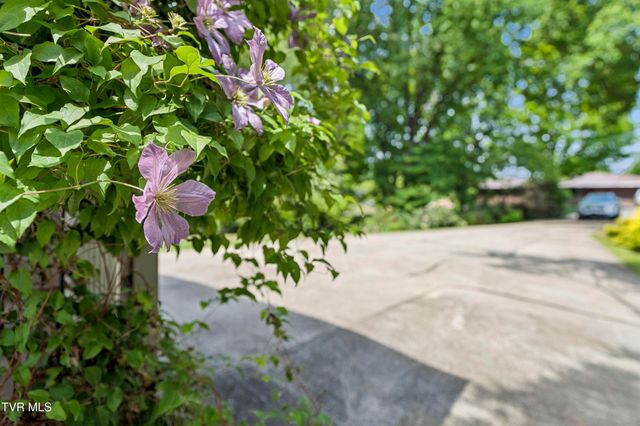236 Lakeshore Circle, Rogersville, TN 37857