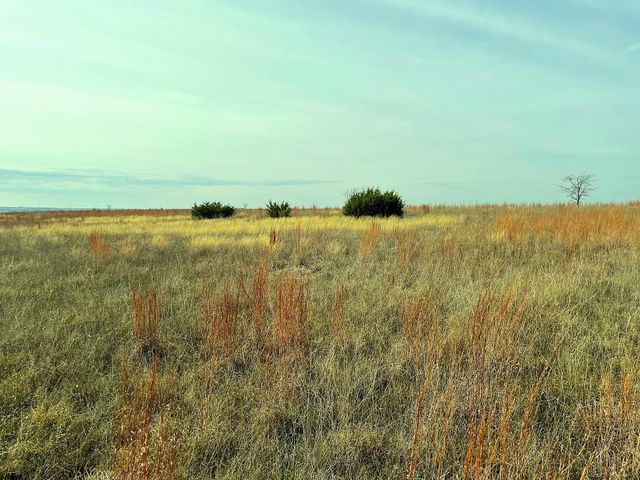 2245 County Road 619, Pottsville, TX 76565