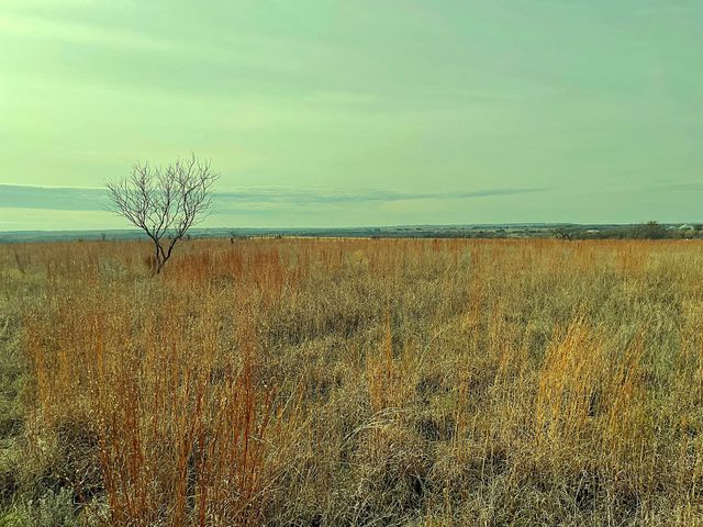 2245 County Road 619, Pottsville, TX 76565