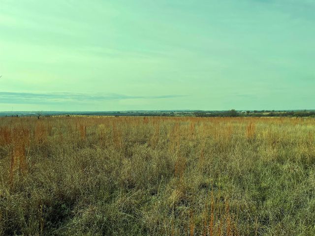 2245 County Road 619, Pottsville, TX 76565