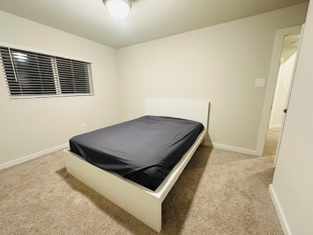 10818 Bodie Hills Drive, Rosharon, TX 77583