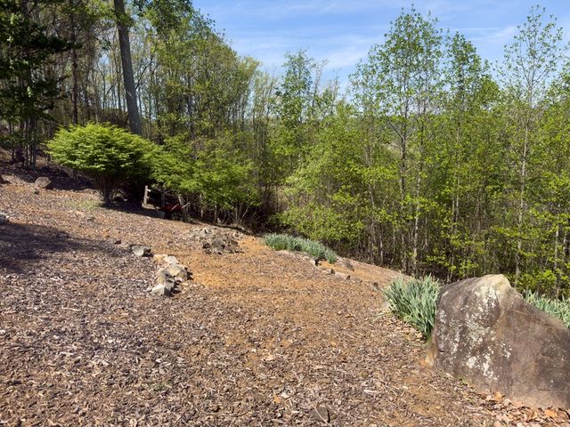928 Kirkland Drive, Hiawassee, GA 30546