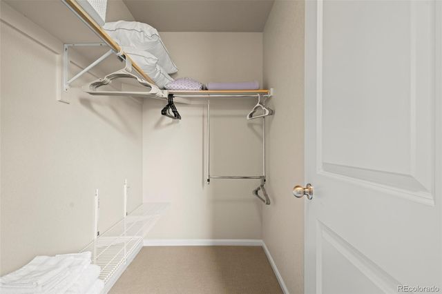 10281 Bellwether Lane, Lone Tree, CO 80124