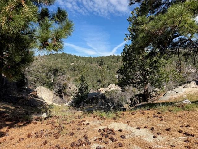 33363 Forrest, Running Springs, CA 92382