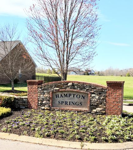 1001 Meadowview Dr, Spring Hill, TN 37174