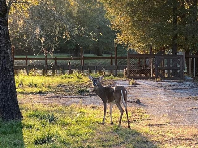 201 Cypress Lakes Circle, Cleveland, TX 77327