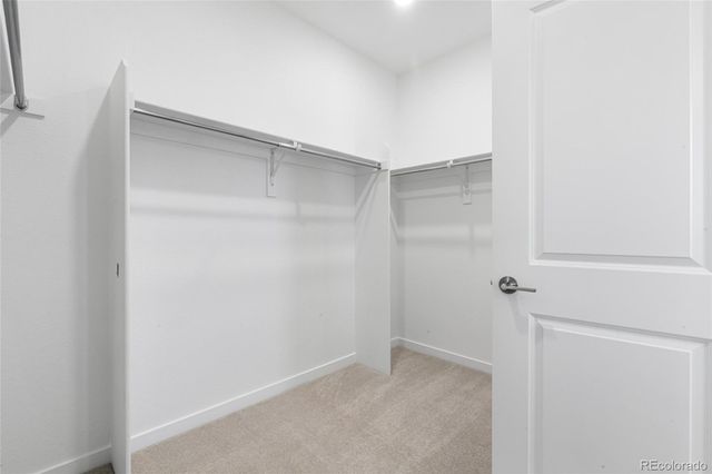 8795 Hugo Drive, Littleton, CO 80125