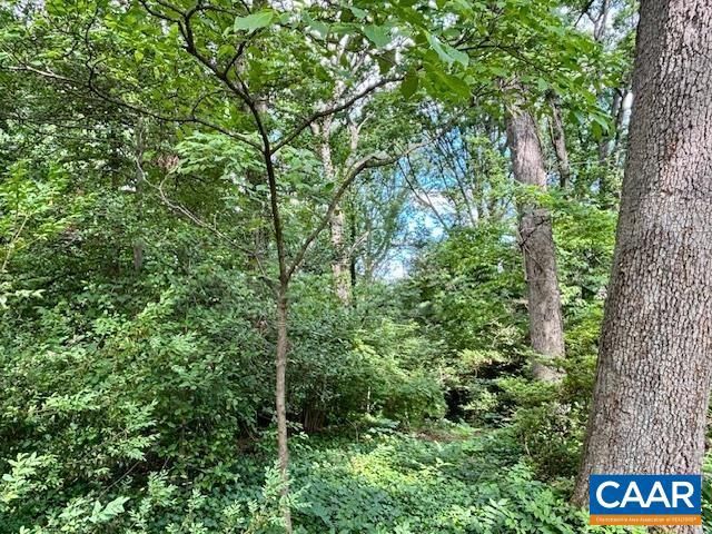 1426 DAIRY RD, Charlottesville, VA 22903