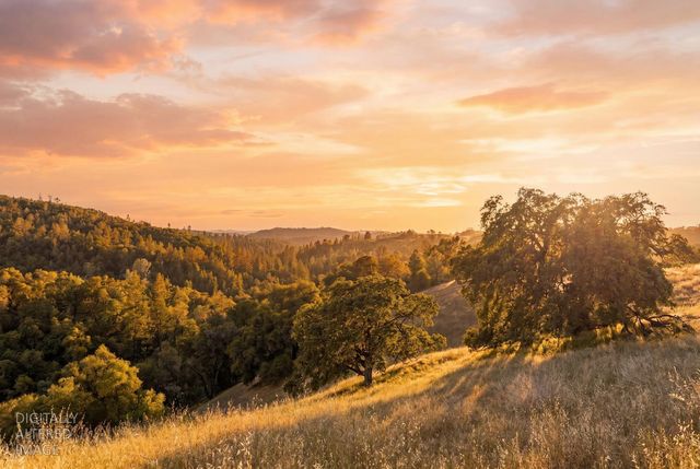 12850 Fiddletown Rd, Fiddletown, CA 96269