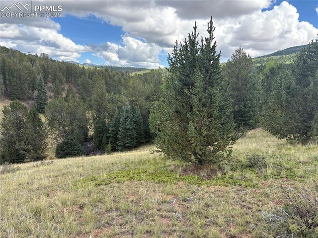70 Brown Bear Lane, Cripple Creek, CO 80813