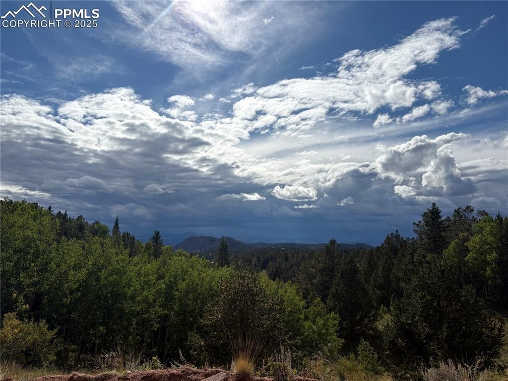 70 Brown Bear Lane, Cripple Creek, CO 80813