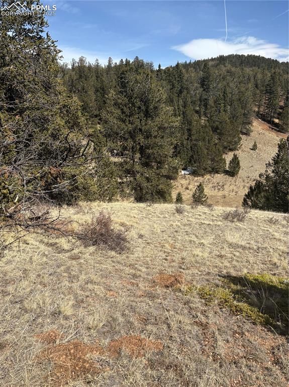 70 Brown Bear Lane, Cripple Creek, CO 80813 — photo 2