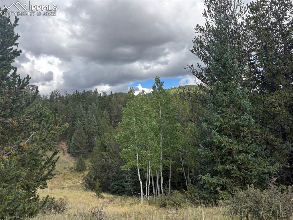 70 Brown Bear Lane, Cripple Creek, CO 80813 — photo 3