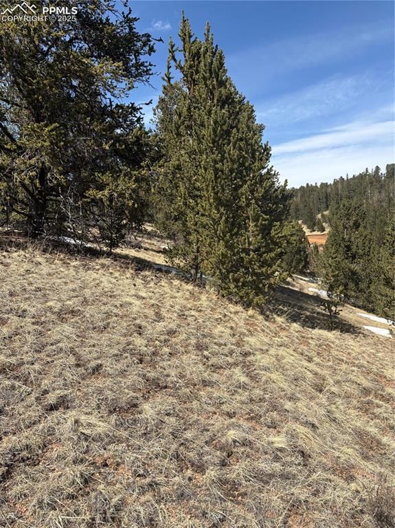 70 Brown Bear Lane, Cripple Creek, CO 80813 — photo 4