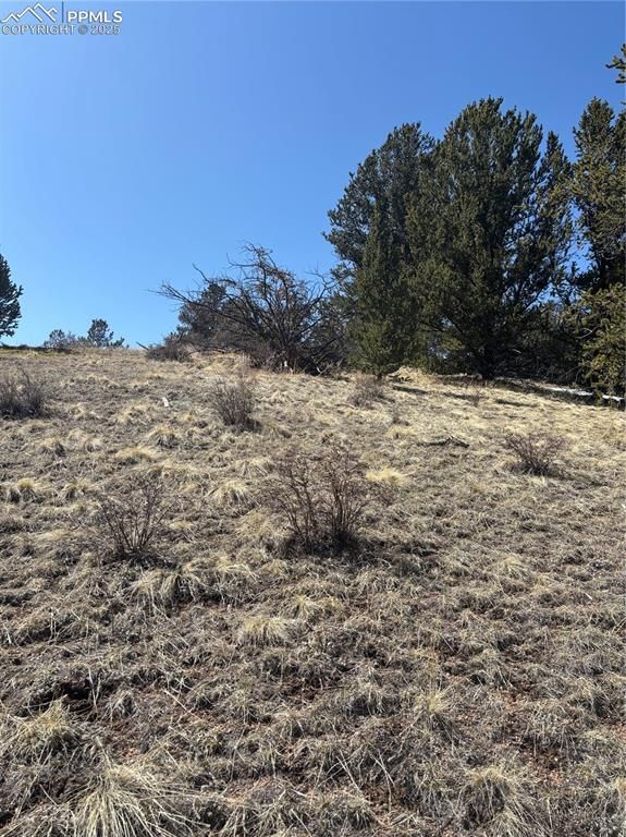 70 Brown Bear Lane, Cripple Creek, CO 80813 — photo 5