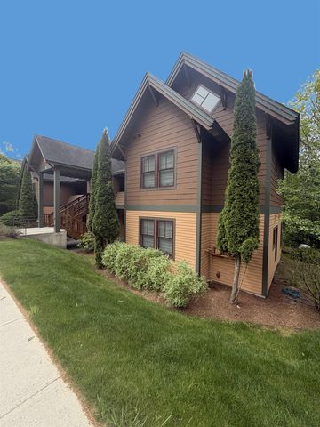 41 Parkhurst Road L-4, Cavendish, VT 05153